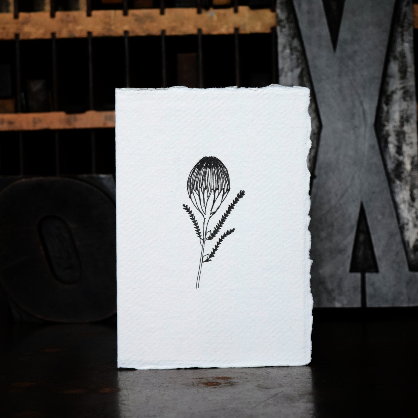 Letterpress Card No.018 "Protea"