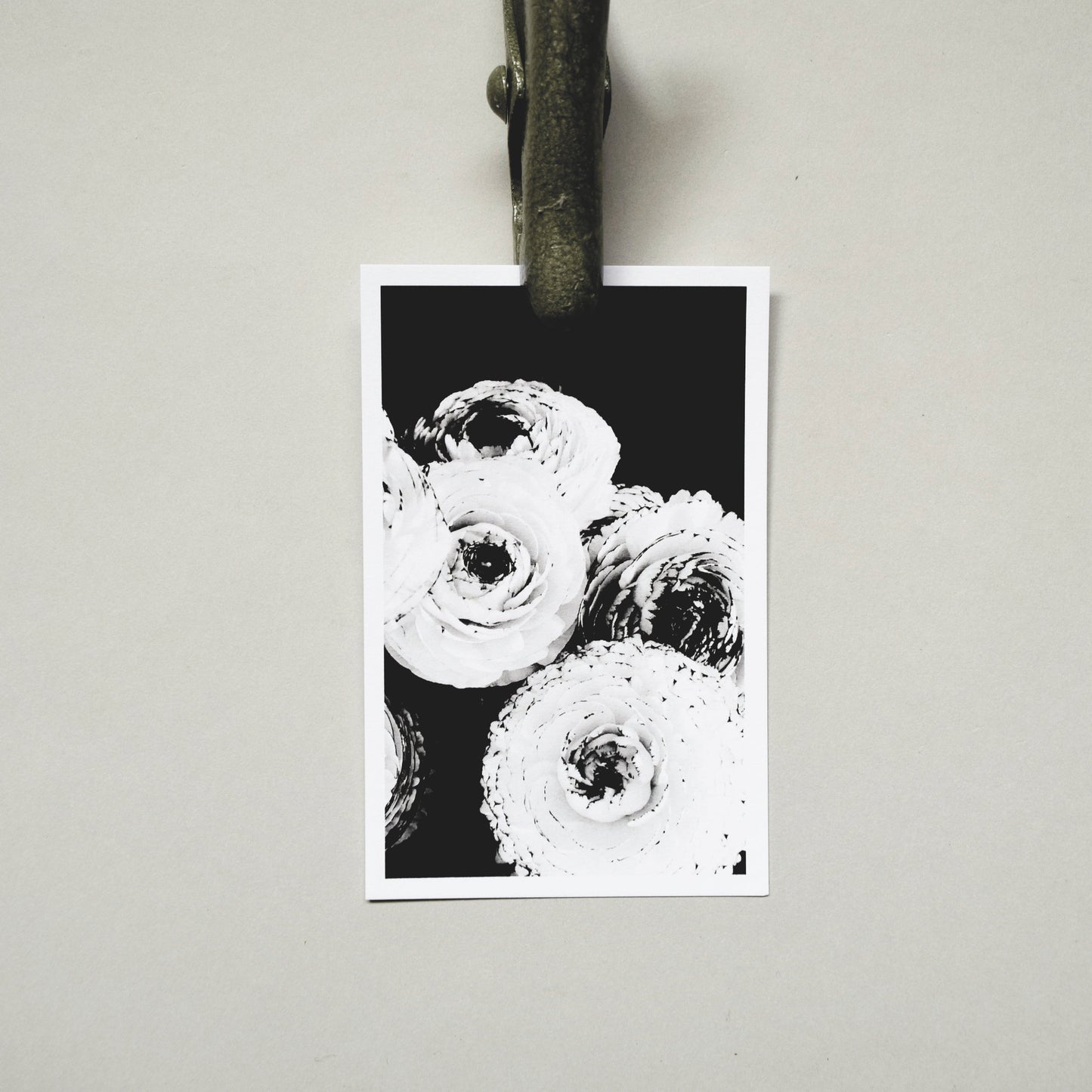 A Quiet Garden Postcard Set