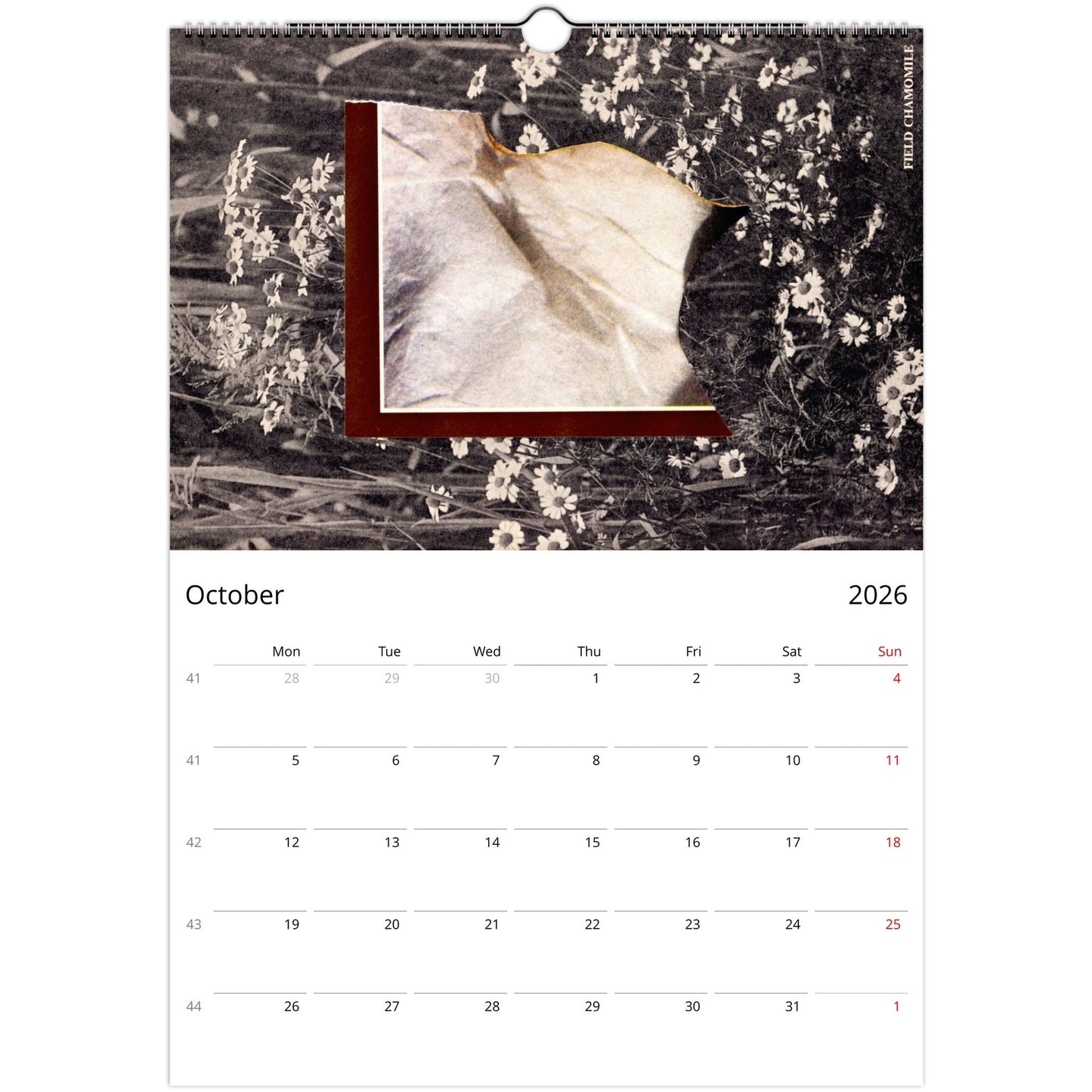 37b598f4-2ca0-4717-99e0-806a17154110