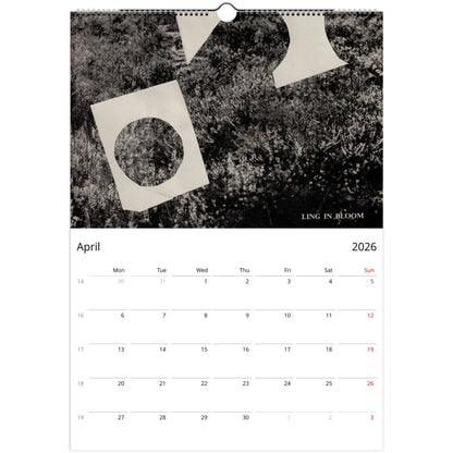 55a3436a-6f93-4f3a-8e1b-a1e89bf7d815