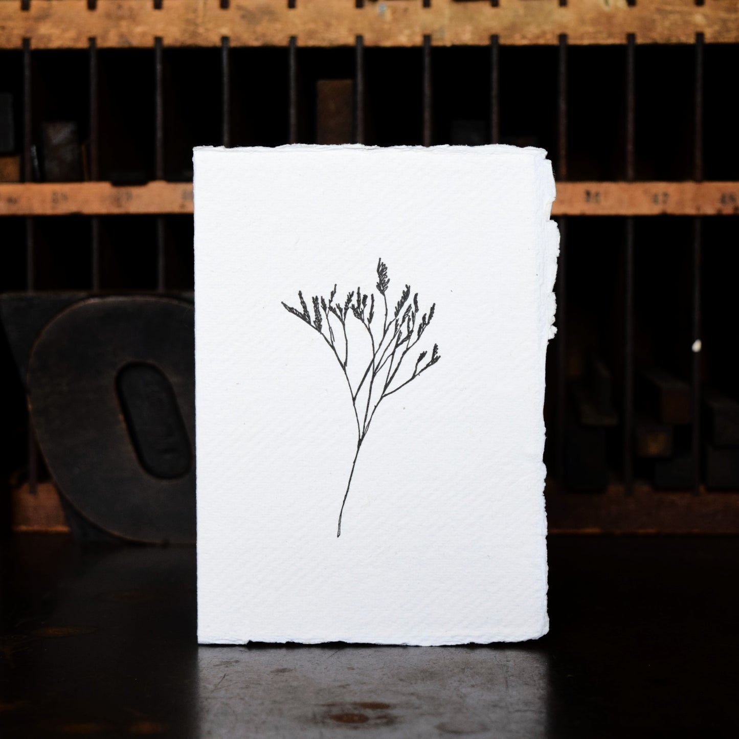 Letterpress Card No.014 "Statice"