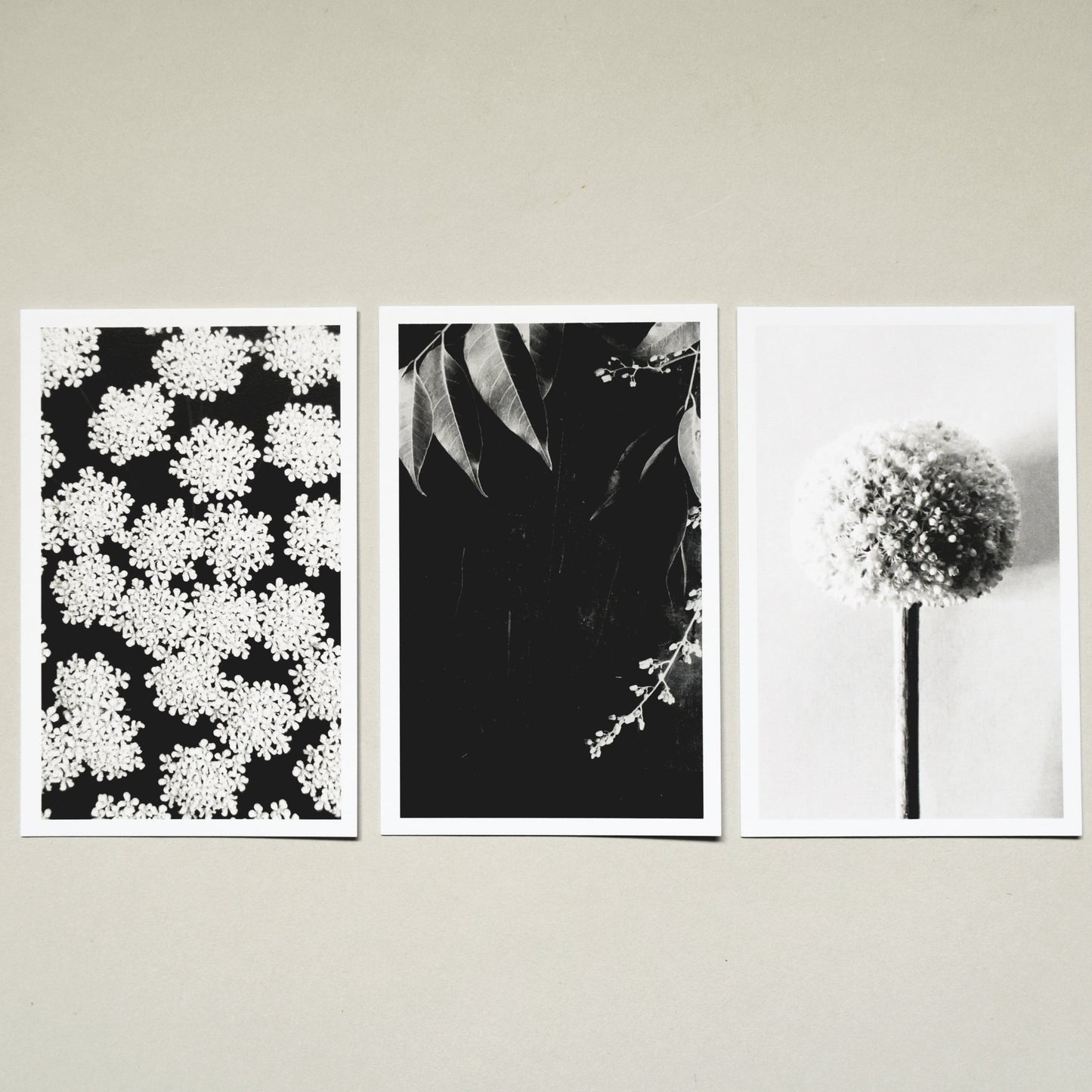 A Quiet Garden Postcard Set