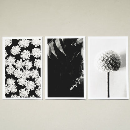 A Quiet Garden Postcard Set