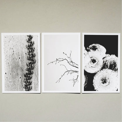 A Quiet Garden Postcard Set