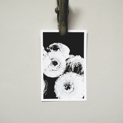 A Quiet Garden Postcard Set